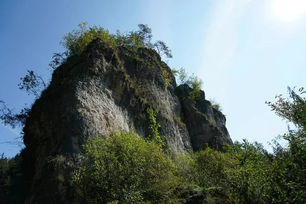 Низькокутний Знімок Величезної Грубої Пісковикової Скелі Покритої Рослинністю — стокове фото