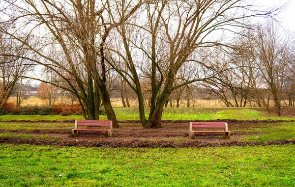 Green Park Two Wooden Benches — Stock Photo, Image