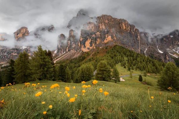 Hermoso Plano Prado Con Rocas Cubiertas Nubes Perfecto Para Fondos —  Fotos de Stock