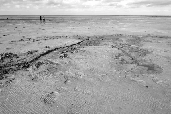 Tiro Escala Cinza Alto Ângulo Praia Areia Capturada Dia Nublado — Fotografia de Stock