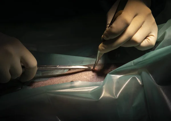 Close Médicos Mãos Trabalhando Uma Cirurgia — Fotografia de Stock