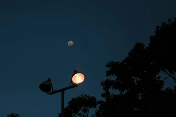 夜になると公園で街灯が燃えている — ストック写真