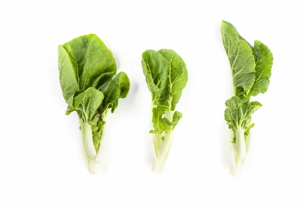 三棵绿色蔬菜在白色的背景上隔离开来 — 图库照片