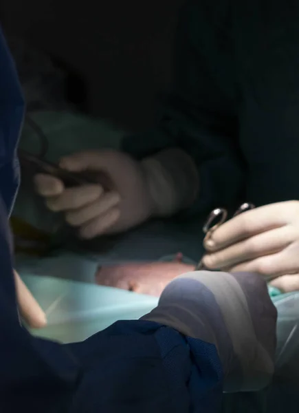 Tiro Vertical Veterinário Realizando Cirurgia Cão Com Instrumentos Médicos Especiais — Fotografia de Stock
