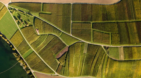 Aerial Shot Farmlands — Stock Photo, Image