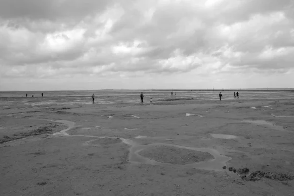 Greyscale Shot People Relaxing Beach Cloudy Day — Stock Photo, Image