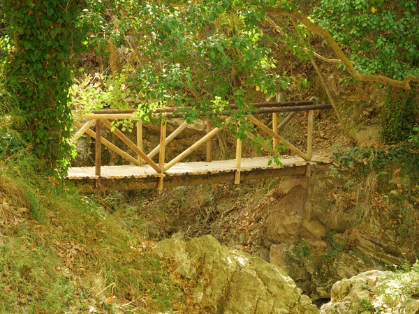 Vue Pont Bois Sur Petit Ruisseau Dans Parc — Photo