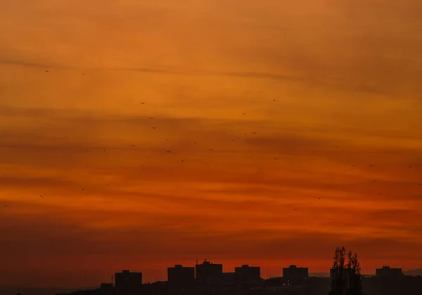 Yerevan Armenia Enero 1970 Fascinante Cielo Atardecer Sobre Las Siluetas —  Fotos de Stock