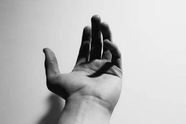 灰色の背景に隔離された人の手のひらのグレースケールショット — ストック写真