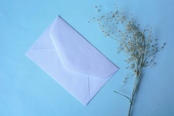 White Envelope Dried Grass Greeting Mockup Seasonal Concepts Blue Background — Stock Photo, Image