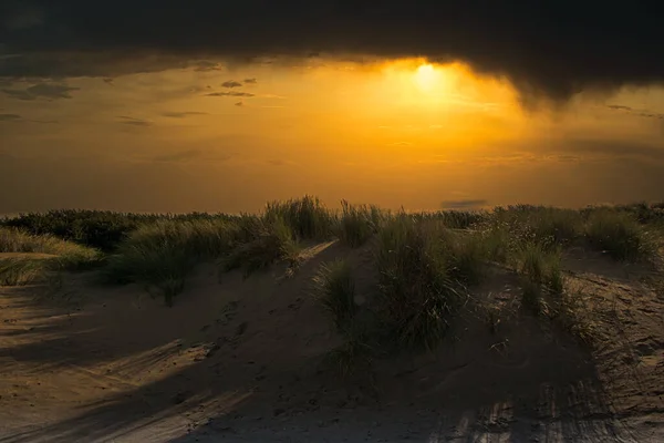 Ein Schöner Blick Auf Büsche Auf Sandhügeln Strand Bei Sonnenuntergang — Stockfoto