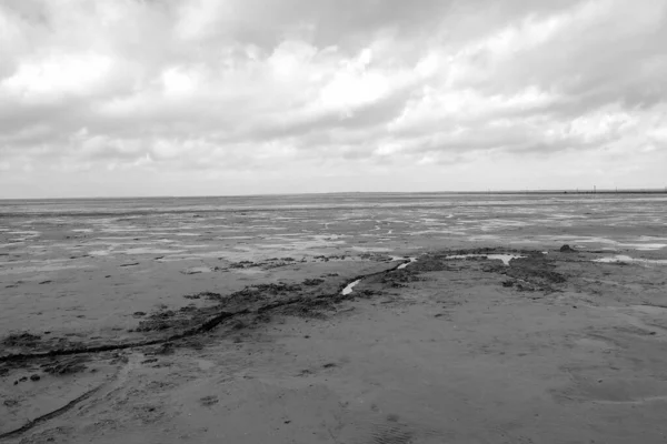 Greyscale Shot Sandy Beach Captured Cloudy Day — Stock Photo, Image