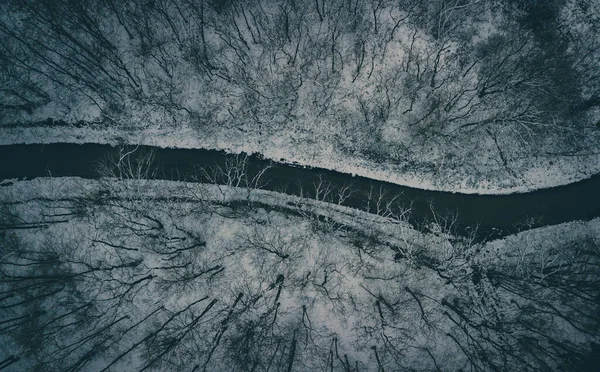 Uma Vista Paisagem Pássaro Rio Congelado Durante Inverno — Fotografia de Stock