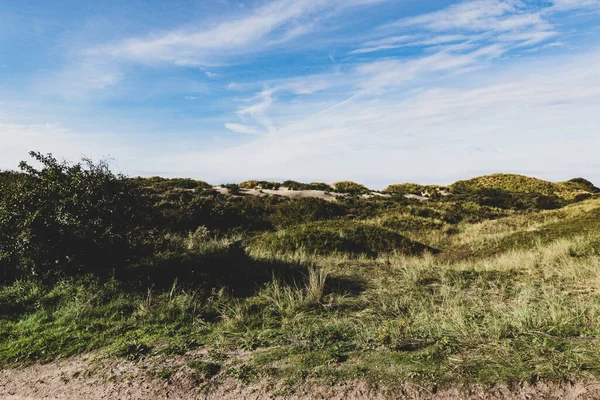 Uma Bela Paisagem Com Grama Arbustos Sob Céu Nublado Borkum — Fotografia de Stock