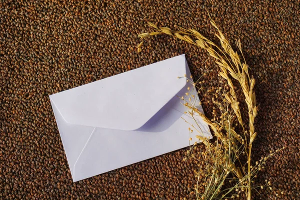 草木染めの白い封筒ウール生地の背景に季節のコンセプトをモックアップグリーティング — ストック写真