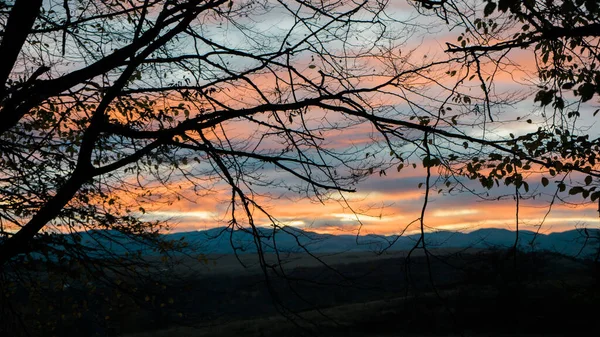 Closeup Silhouettes Trees Surrounded Mountains Beautiful Sunset Evening — Stock Photo, Image