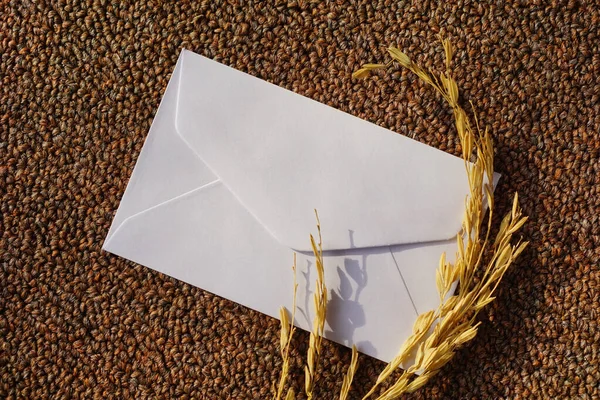 Een Witte Envelop Met Gedroogd Gras Voor Begroeting Mockup Seizoensgebonden — Stockfoto