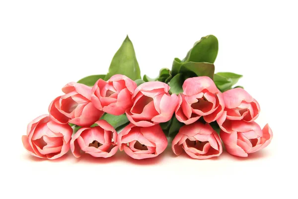 Букет Розовых Тюльпанов Белом Фоне — стоковое фото