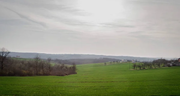 Eine Malerische Landschaft Ansicht Der Grünen Wiese Auf Bergwald Hintergrund — Stockfoto