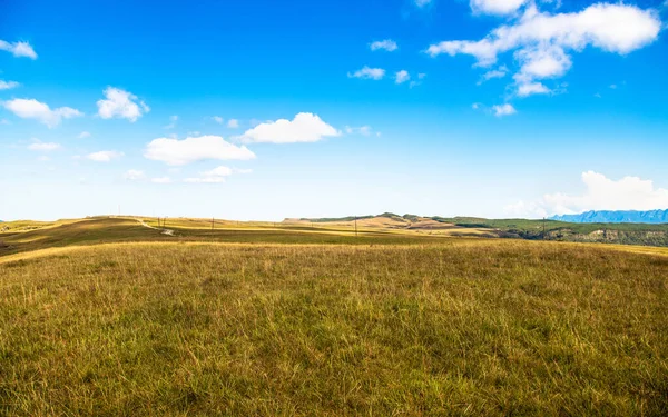 Vacker Utsikt Över Ett Grönt Gräsfält Molnig Himmel Santa Catarina — Stockfoto