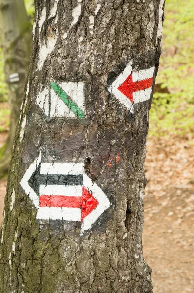 Colpo Verticale Albero Con Frecce Dipinte Sugli Alberi Che Mostrano — Foto Stock