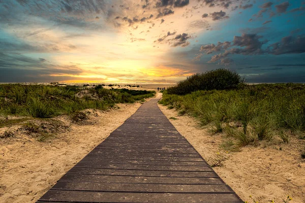 Vacker Bild Strandpromenad Omgiven Grönska Solnedgången Himlen Borkum Tyskland — Stockfoto