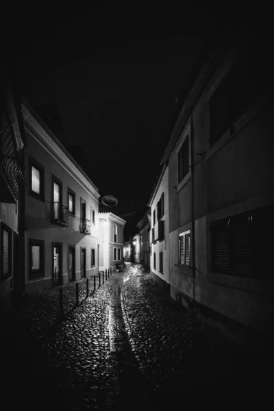 Disparo Vertical Escala Grises Las Calles Portugal Capturado Durante Noche — Foto de Stock