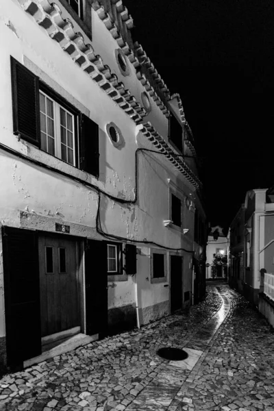 Eine Vertikale Graustufenaufnahme Der Straßen Portugals Aufgenommen Der Nacht — Stockfoto