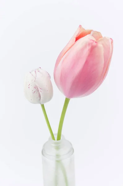 Вертикальный Снимок Цветов Тюльпана Вазе — стоковое фото