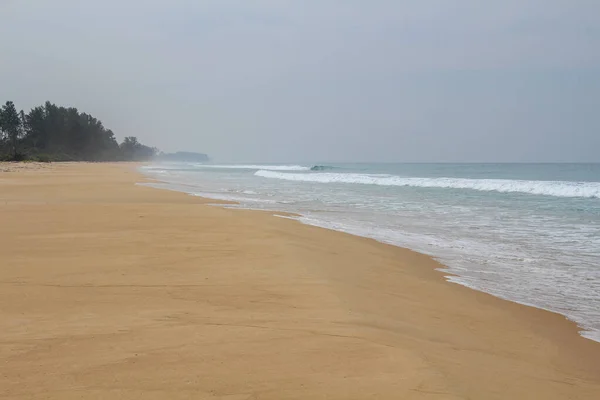 Красивий Вид Пляж Дерева Похмурий День — стокове фото