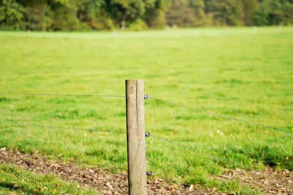 围栏用金属丝连在一起的短木杆的特写镜头 用来在田边筑起栅栏 — 图库照片