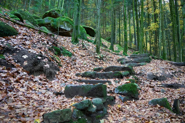 Beau Cliché Escaliers Pierre Artificielle Dans Forêt Noire Allemagne — Photo