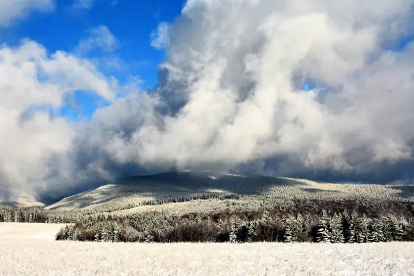 Okouzlující Pohled Mraky Nad Zamrzlým Lesem — Stock fotografie