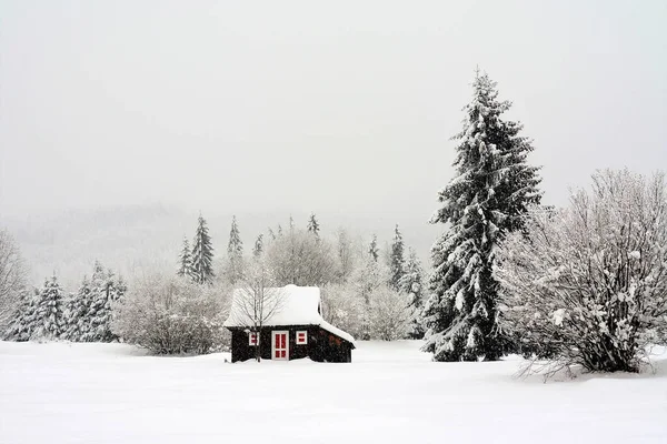 Mały Przytulny Drewniany Dom Zaśnieżonym Lesie Malownicza Zimowa Przyroda Tle — Zdjęcie stockowe