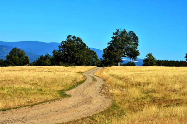 Road Scenic Countryside Picturesque Trees Background — Stock Photo, Image