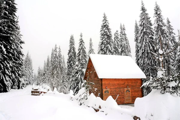 Una Pequeña Acogedora Casa Madera Bosque Cubierto Nieve Naturaleza Escénica —  Fotos de Stock