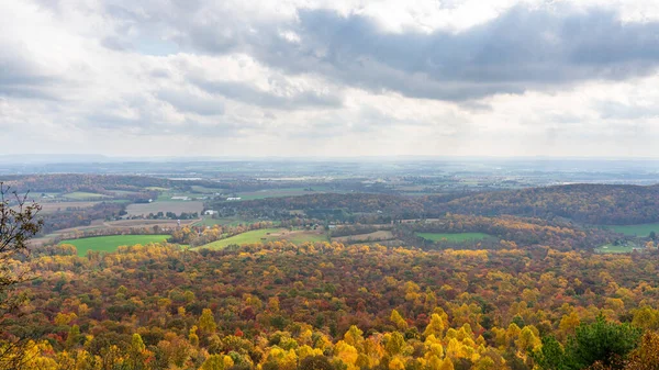 Malebný Výhled Krajinu Hustého Lesa Během Podzimní Sezóny — Stock fotografie