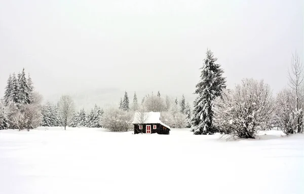 Uma Pequena Casa Madeira Aconchegante Campo Coberto Neve Natureza Inverno — Fotografia de Stock
