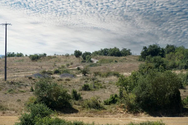 Uma Paisagem Rural Com Arbustos Gramíneas Sob Dia Ensolarado Nuvens — Fotografia de Stock