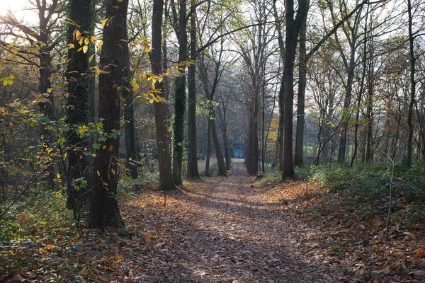 Een Pad Het Vroege Herfstveld Met Vallende Bladeren — Stockfoto