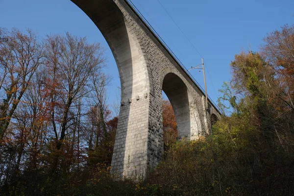 Μια Παλιά Γέφυρα Τρένου Στην Ελβετία Ένα Πάρκο Φθινόπωρο — Φωτογραφία Αρχείου