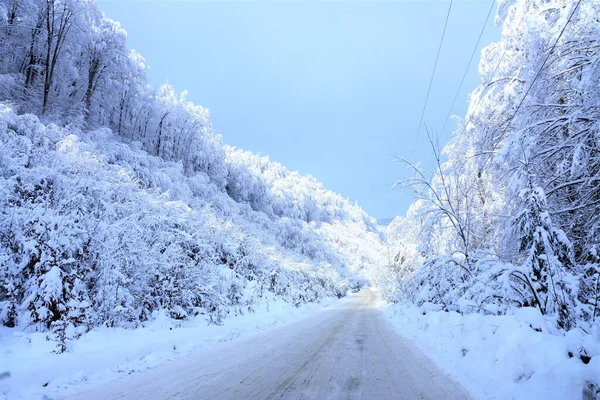 Primer Plano Una Carretera Pintoresco Bosque Cubierto Nieve — Foto de Stock