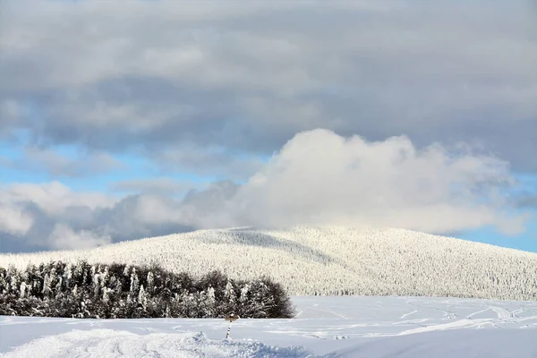 Eine Aufnahme Der Malerischen Winterlandschaft Mit Wolken Schneebedeckter Landschaft Bäumen — Stockfoto