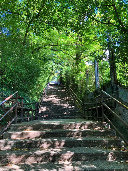 Plano Vertical Las Escaleras Parque Día Soleado —  Fotos de Stock