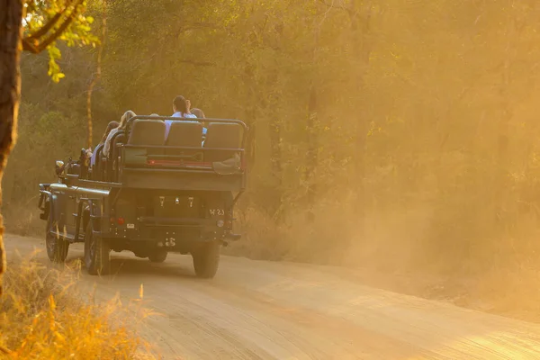 Safari Auto Projíždějící Lesem Slunečného Dne — Stock fotografie