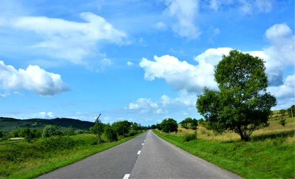 Belo Tiro Uma Estrada Com Árvores Lado — Fotografia de Stock