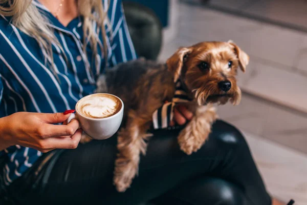 A high angle shot of a girl drinking caffe latte with her dog in a coffee shop