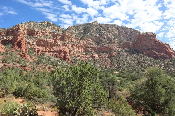 Ein Blick Auf Roten Felsen Mit Wüstenlandschaft Und Blauem Himmel — Stockfoto