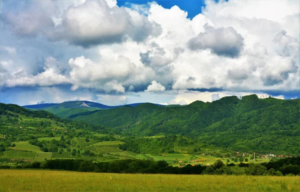 Une Vue Panoramique Depuis Une Forêt Montagne Verdoyante — Photo