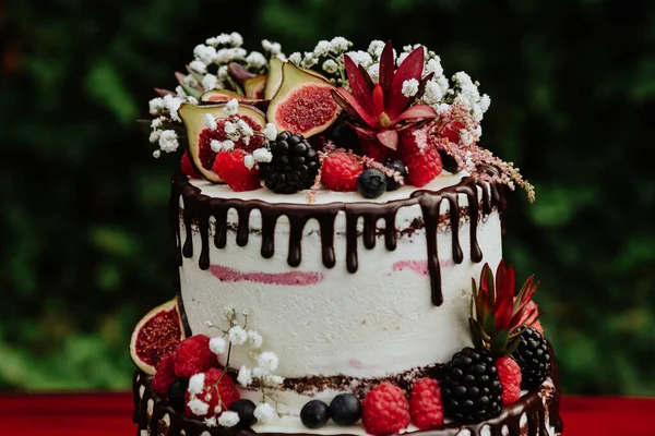 열매와 무화과로 아름다운 케이크의 — 스톡 사진